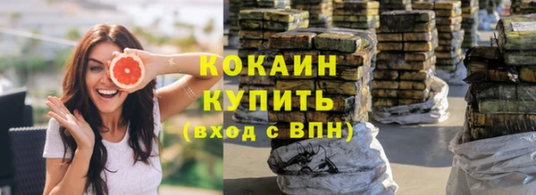 стафф Надым